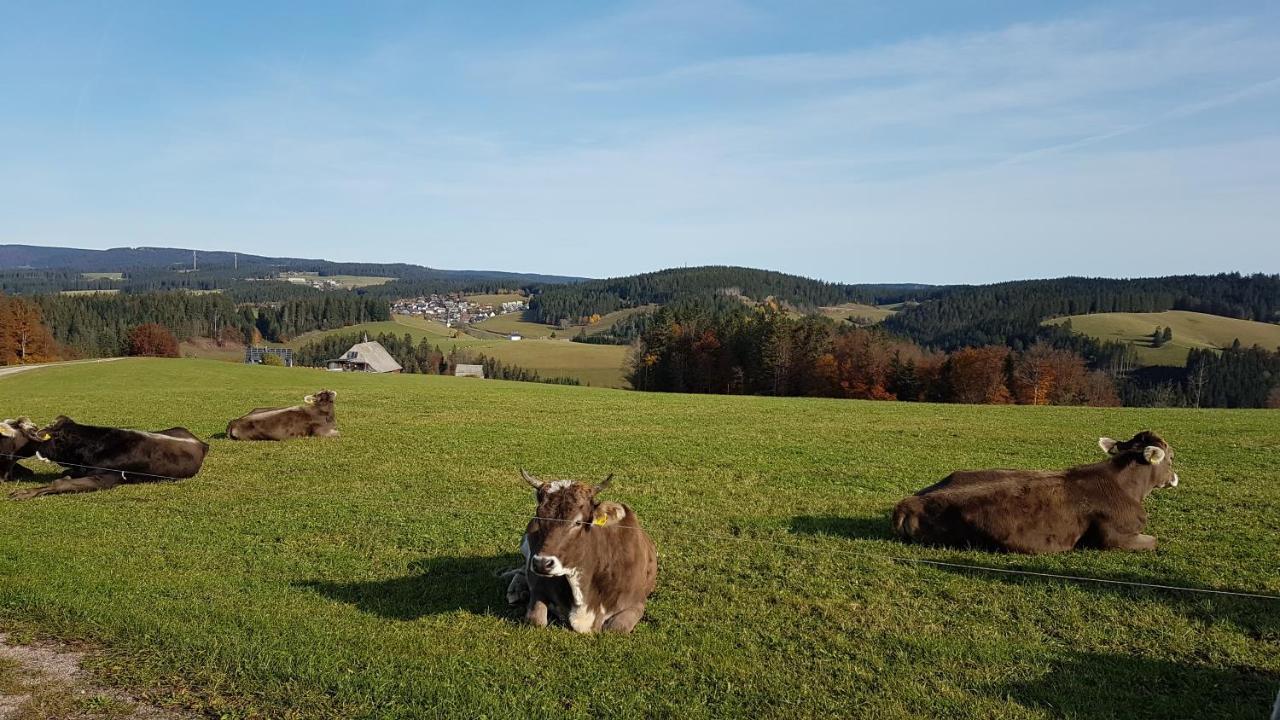 Ferienwohnung Am Schneeberg Titisee-Neustadt Exterior foto