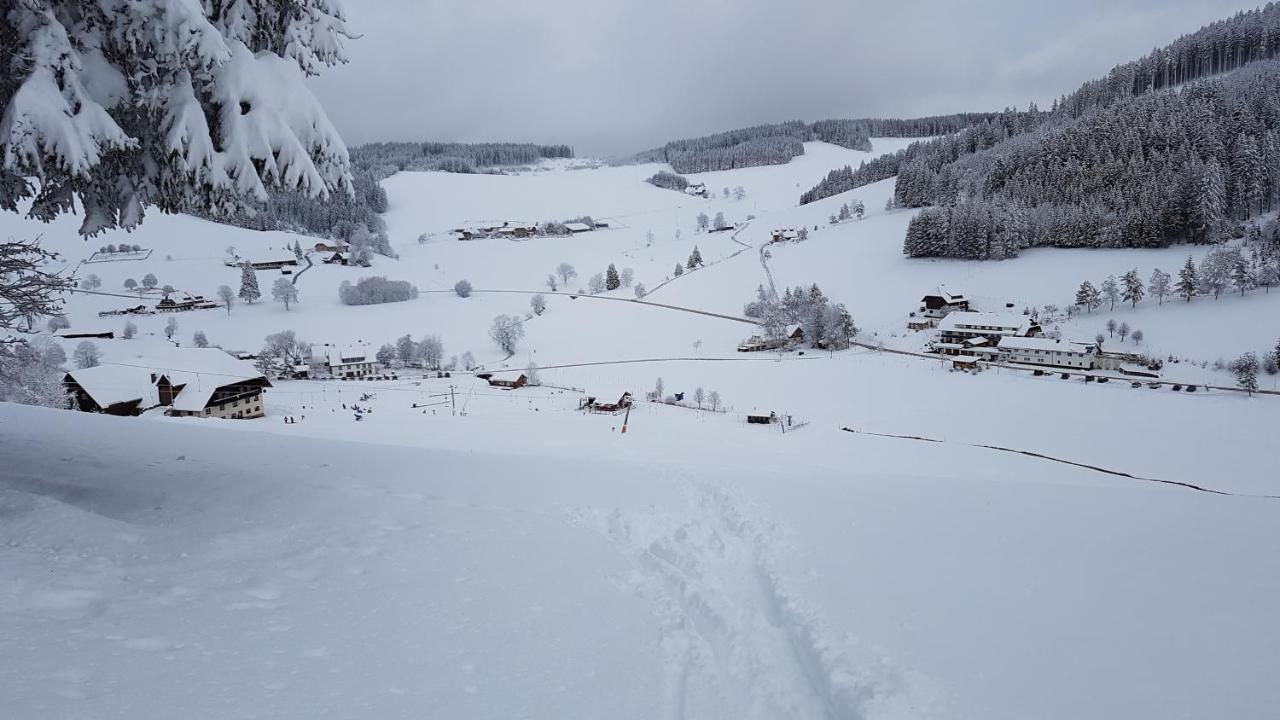 Ferienwohnung Am Schneeberg Titisee-Neustadt Exterior foto