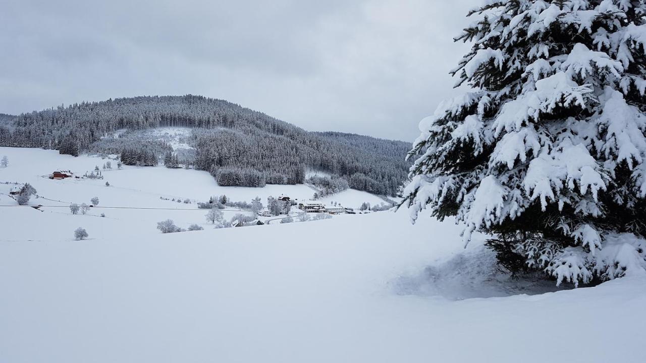 Ferienwohnung Am Schneeberg Titisee-Neustadt Exterior foto