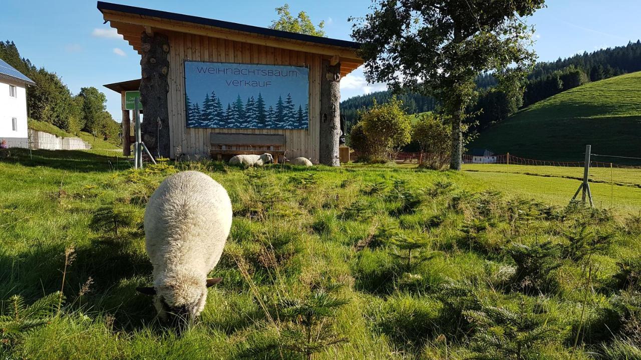 Ferienwohnung Am Schneeberg Titisee-Neustadt Exterior foto