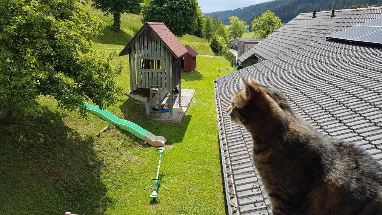 Ferienwohnung Am Schneeberg Titisee-Neustadt Exterior foto