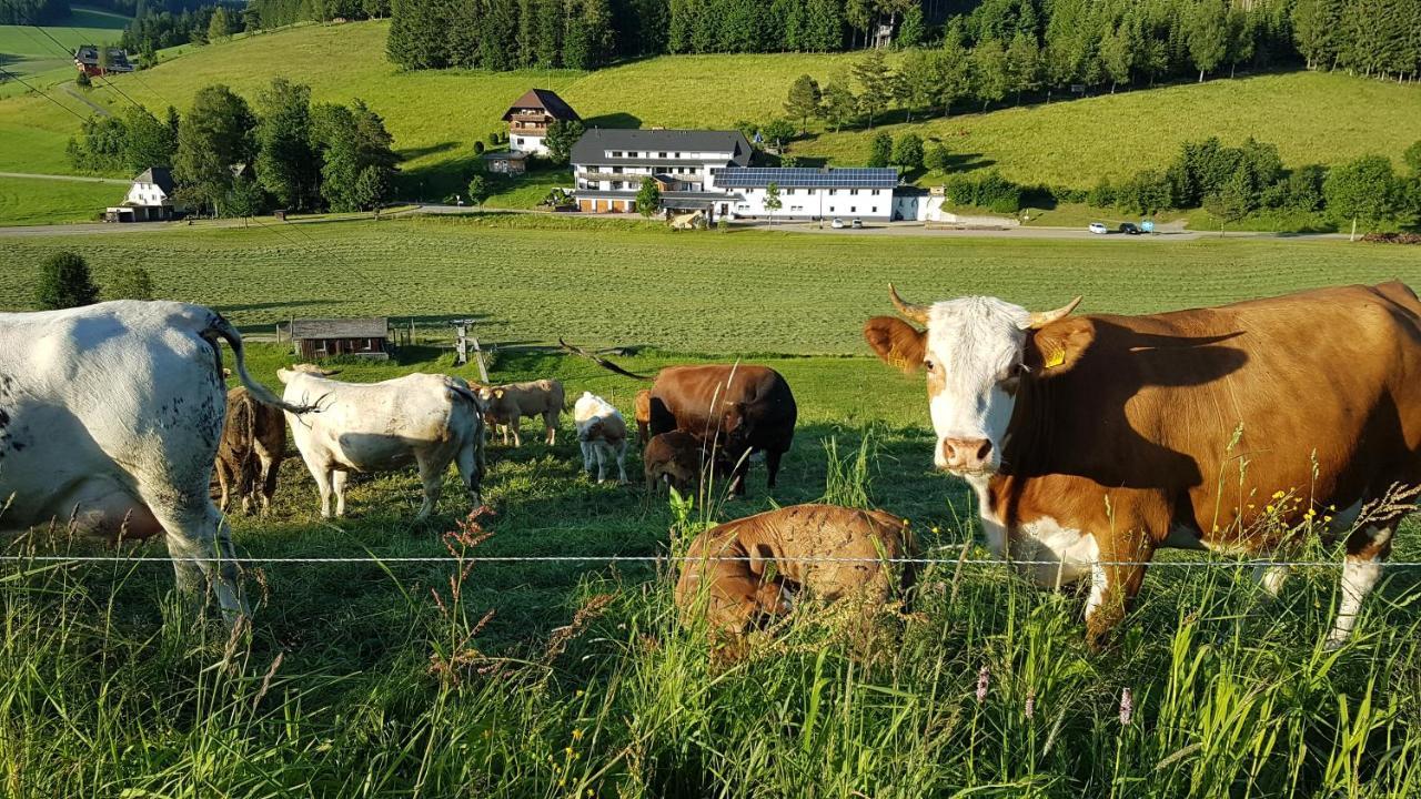 Ferienwohnung Am Schneeberg Titisee-Neustadt Exterior foto