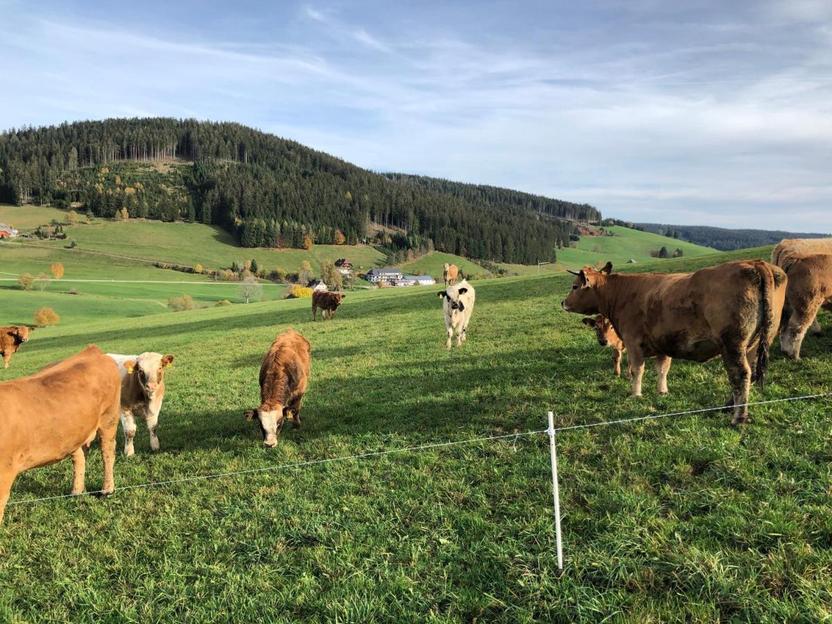 Ferienwohnung Am Schneeberg Titisee-Neustadt Exterior foto