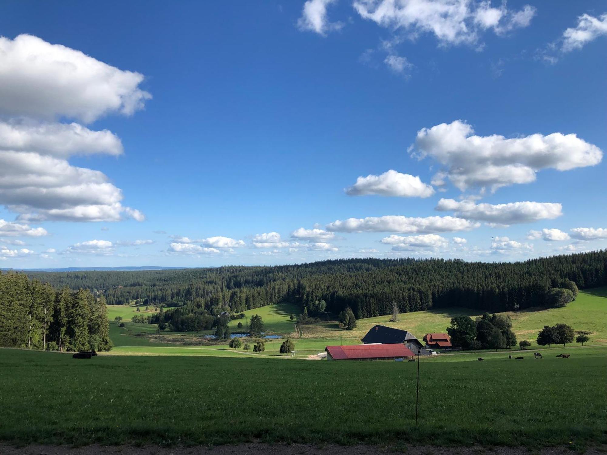 Ferienwohnung Am Schneeberg Titisee-Neustadt Exterior foto