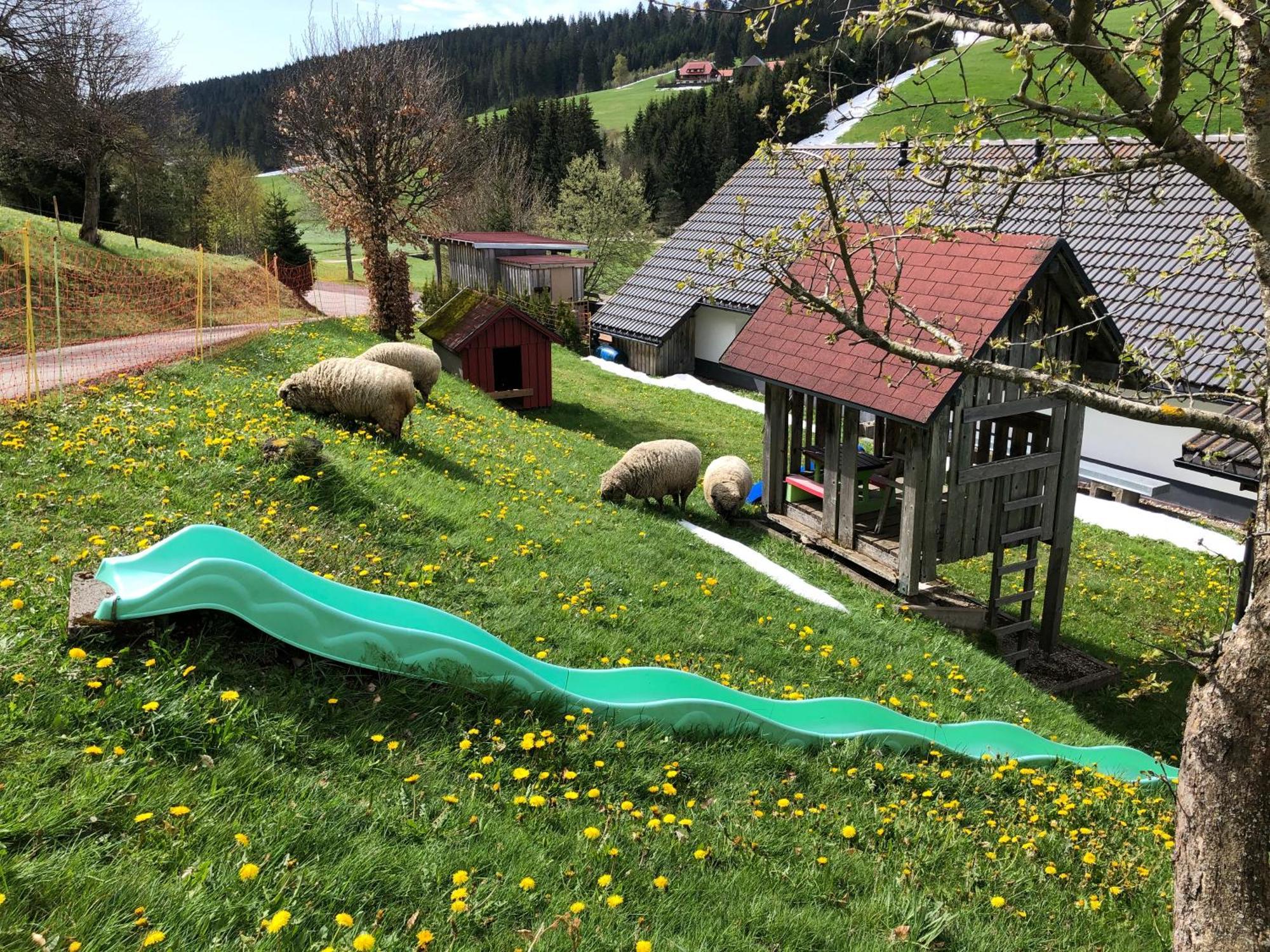 Ferienwohnung Am Schneeberg Titisee-Neustadt Exterior foto