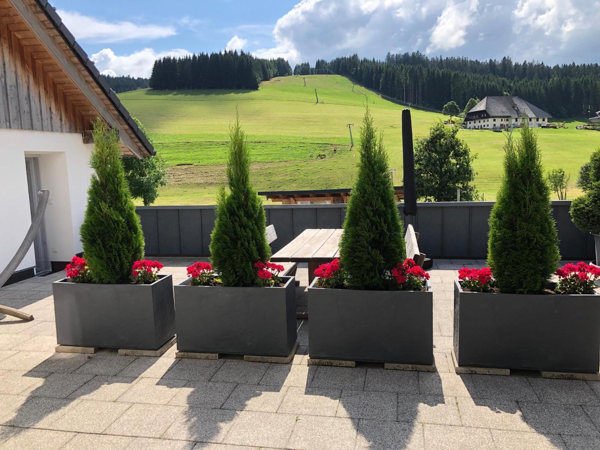 Ferienwohnung Am Schneeberg Titisee-Neustadt Exterior foto