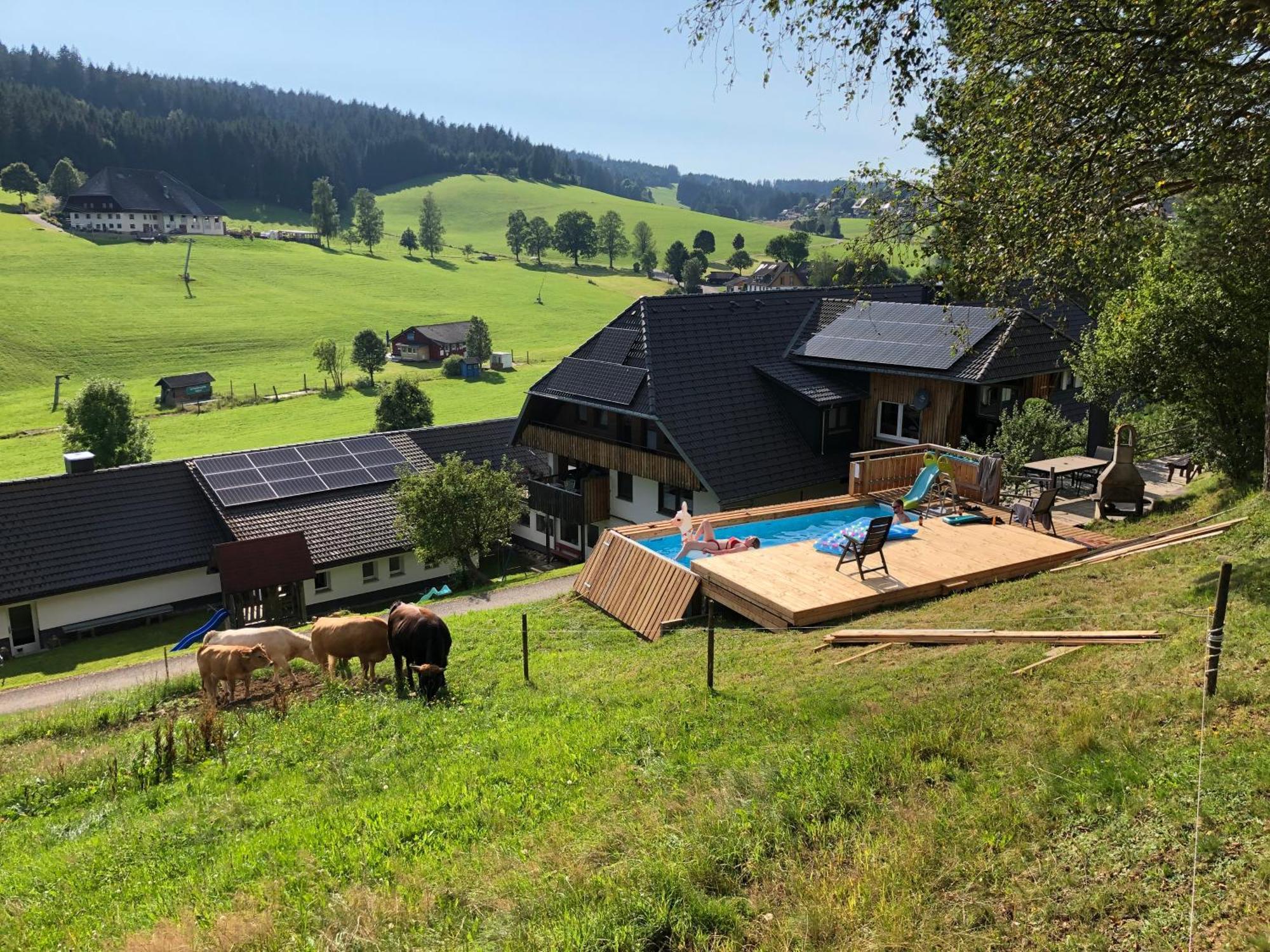 Ferienwohnung Am Schneeberg Titisee-Neustadt Exterior foto