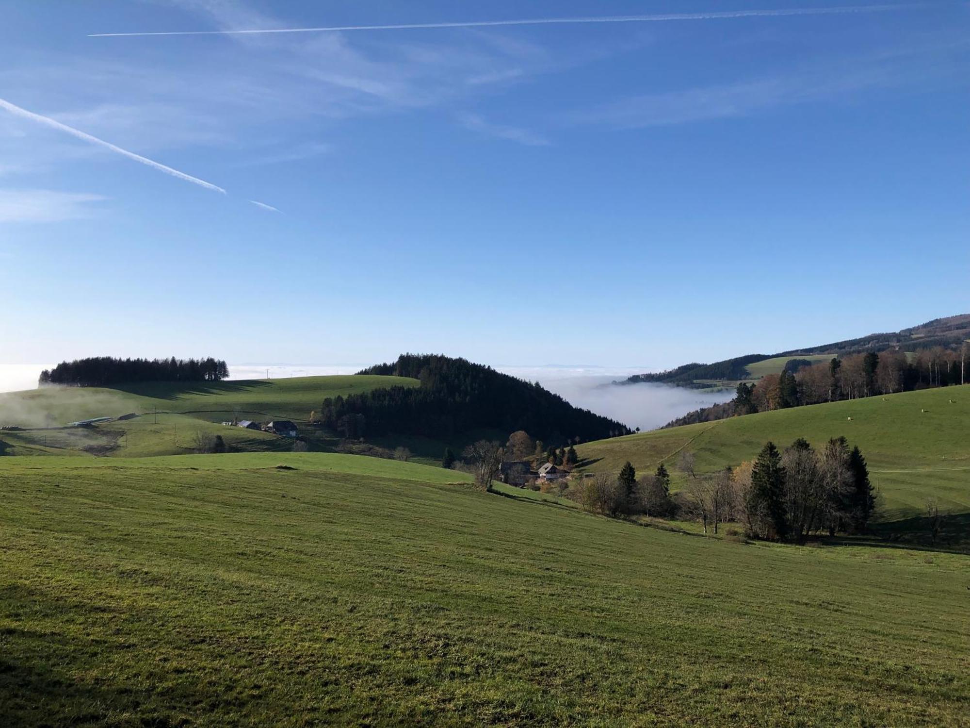 Ferienwohnung Am Schneeberg Titisee-Neustadt Exterior foto